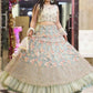 net-wedding-designer-lehenga-choli