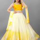 Lehenga choli for women latest designer