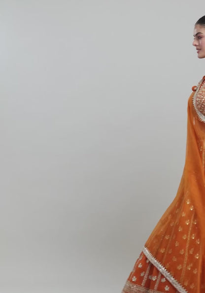 Women Lehenga Choli Set Collection